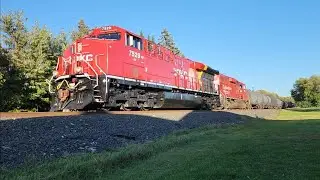 Brand New CPKC Scheme Locos lead 445 through Maple Lake | 9/27/25