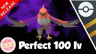 THE HOLY GRAIL *NEW* 100IV LV50 SHADOW TALONFLAME SETS THE ULTRA LEAGUE ON FIRE Pokemon Go Pvp