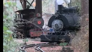 Georgia Agrirama Railroad, 1917 Vulcan, 0-4-0T No. 5, 12-14-24