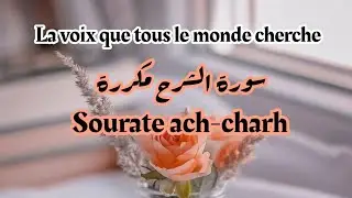 La récitation que tous le monde cherche : Sourate al charh répétée (une voix qui apaise le cœur)