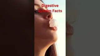 Unlocking the secrets: Digestive System Facts in a Nutshel |! 🍏🔍 #shorts  #digestivesystem #science