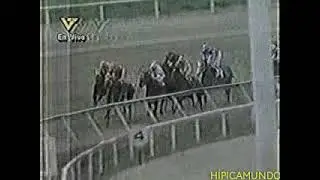 Carrera com&uacute;n a&ntilde;o 2000, Let It Ride... 🏇🏇🏇