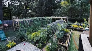 Vlog 2: We Make Big Changes to Our Yards, in to Gardens.