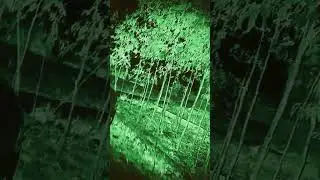 bhoot wala video#horror sound effect#ghostsounds #halloweensounds Bhoot ki awaaz#horror shorts
