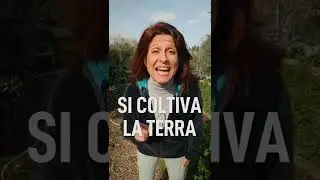 RICETTE PER RIGENERARE IL SUOLO #shorts