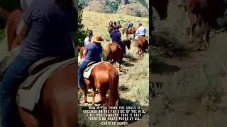 Now if you think the grass is greener on the far side of the hill, / All you cowboys: