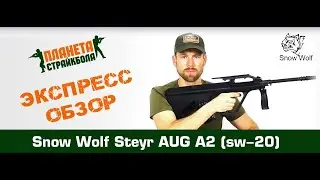 Обзор автомата Snow Wolf Steyr AUG A2 (sw-020b)