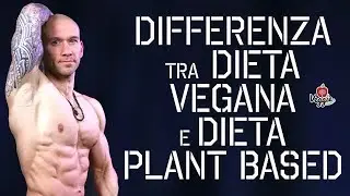 Differenza tra dieta vegana e dieta plant based - IronManager
