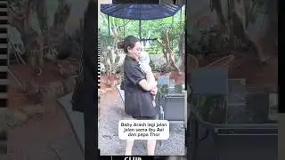 #aaliyahmasaid #feedshorts #thariqhalilintar #trending #baby #anak _#arash #cute #anakpintar #abang