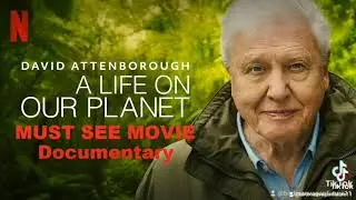 POPULATION Collapse for WILDLIFE not Elon Musk Ponzi Scheme for Destructive People Baby Breeders