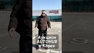 Order a used car from Korea - KoreaAutoLife Auction Autuhab
