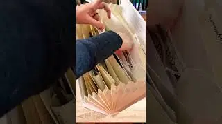 The best way to organize ephemera for scrapbooking #shorts #journaling