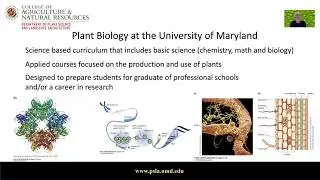 Plant Sciences: Plant Biology