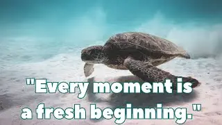[Resolution] Famous quotes related to the 'new year resolution' that can touch people's hearts
