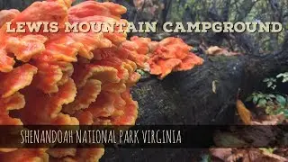 Lewis Mountain Campground and Peak - Shenandoah National Park - Appalachian Trail Virginia