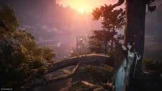 Life Material: Whisper Hive &ndash; Stonewash Strand | Where Winds Meet PS5