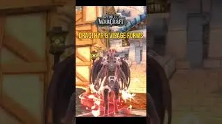 Excited to play as a Dracthyr Evoker in #worldofwarcraft #dragonflight 🐉 #follow #gamer #warcraft