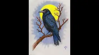 Black raven. Graphics.#black #raven #ravens #moon #graphics #birds #bird #night #coloredpencils