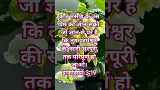 परिपूर्ण हो जाओ 🎉🎉🎉🎉
