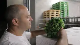 IL PESTO DI PRA' di Bruzzone e Ferrari | AUTENTICO