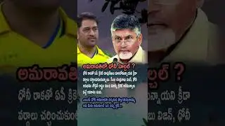 AP POLITICS: Dhoni and Naidu Join Forces to Revolutionize AP Cricket Infrastructure!