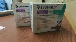 Antibody therapy aims to provide added protection for those at risk of severe COVID-19 infection