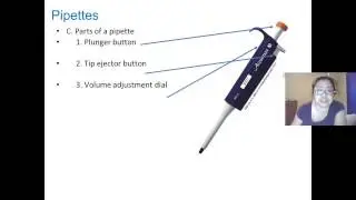 Micropipette Lecture