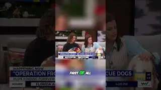 Instant Dog Adoptions! Michigan Road Trip