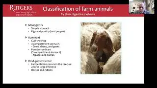 Homesteading Academy: Beginner&rsquo;s Guide to Sheep and Goats