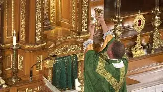 Sunday Mass - Live Stream - Septuagesima Sunday- (1962 Missal) Feb 1st