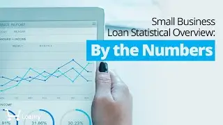 Small Business Loan Statistical Overview