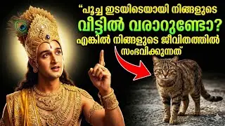 വീട്ടിലേക്ക് എത്തുന്ന പൂച്ച എന്ത് സൂചനയാണ് നൽകുന്നത്? അതിന്റെ ആത്മീയ അർത്ഥം അറിയൂ 🐾