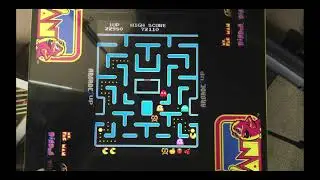 Ms Pac Man Test Stream