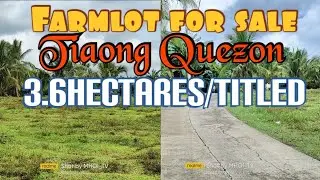 farmlot for sale/Tiaong quezon/3.6has/titled