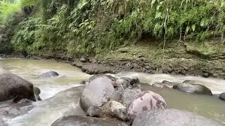 Serene River Ambiance: Relaxing Sounds of Nature