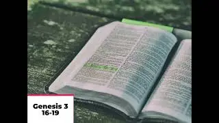 Daily Bible Reading: Genesis 3: 16-19