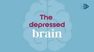 The depressed brain