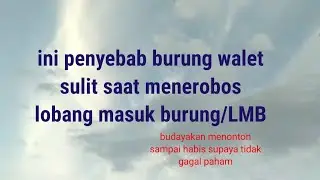 penyebab burung walet sulit memasuki lmb