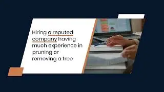 Affordable Tree Services On A Budget In West Virginia