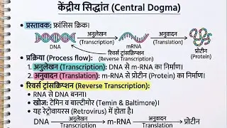 गुणसूत्र (Chromosome), DNA और RNA | Cell Biology NCERT Based Theory | UKSSSC UKPSC SSC Railway UPSI