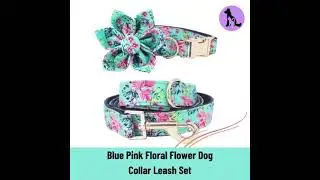 Online Pet Accessories store in the USA | Buy New style dog collars