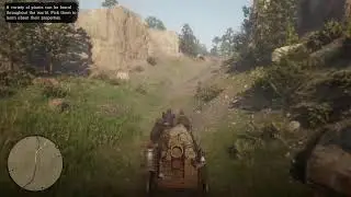 Red Dead Redemption 2 walk through | PS5 [LIVE]