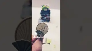 C0010 Timelapse Panda Blocks 860 pieces #bricks #loz #mini #timelapse