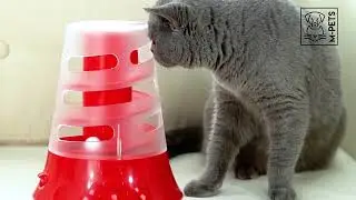 VORTEX Interactive cat toy - 100% FUN