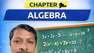 Class vi math CBSE BOARD,  Algebra 