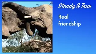 A catchy pop-rock song about true friendship
