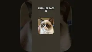 #tag Smash or # angry sigma cat💔 face 😠😠@MrMrsPrinceBenatural @MrBeast 1million like # Free,