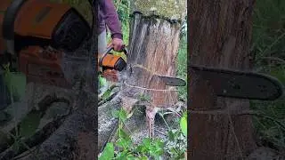 wood sawing technique using a saw machine#wood#woodworkingwoodscraft#wooddesigner#cuttingdowntrees