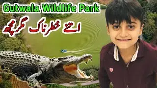 Gatwala Wildlife Park | faisalabad gatwala park | breeding centre