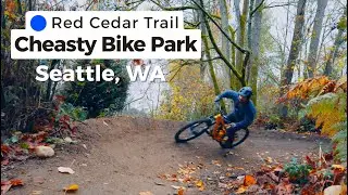 Cheasty MTB Trails (Seattle, WA) - Red Cedar POV